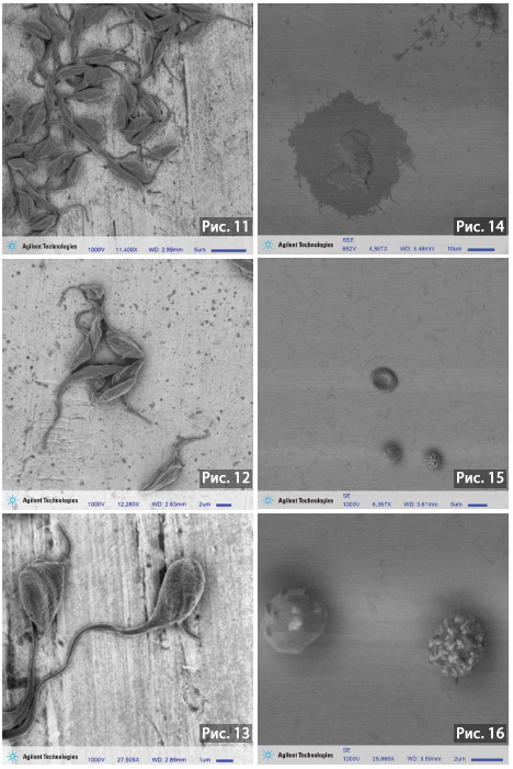 Agilent SEM