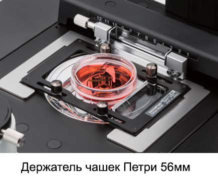 Держатель чашек Петри 56мм Держатель чашек Петри 56мм
