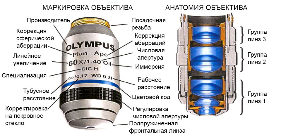 Объективы Olympus для микроскопов