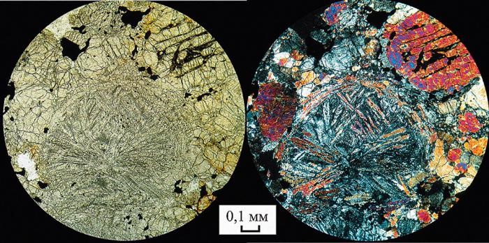 Шлиф горной породы в поляризационном микроскопе