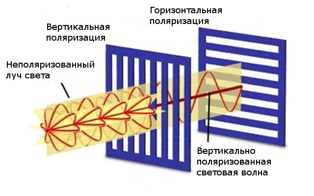 поляризованный свет