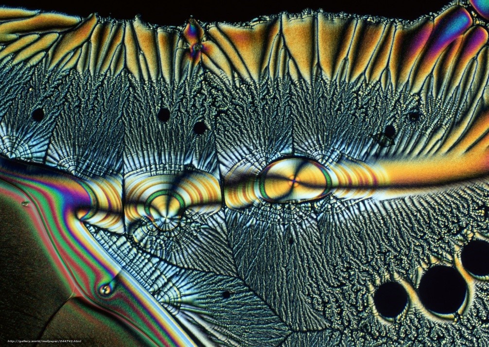 кристаллы под микроскопом