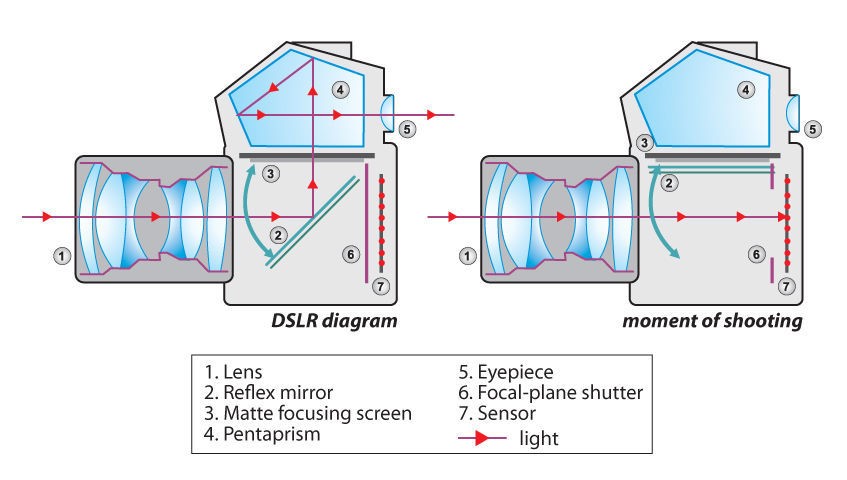 Схема устройства зеркальной фотокамеры