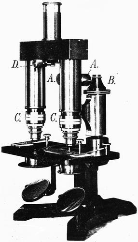 articles_125_Years_of_Comparison_Microscopy