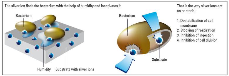 www_microsystemy_ru_articles _Antimicrobial_Coating_for_Educational_Microscopes