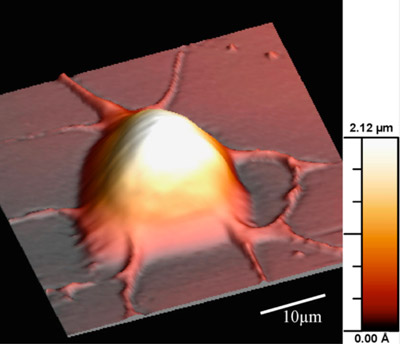 microsystemy_ru_articles_Atomic-force_microscope