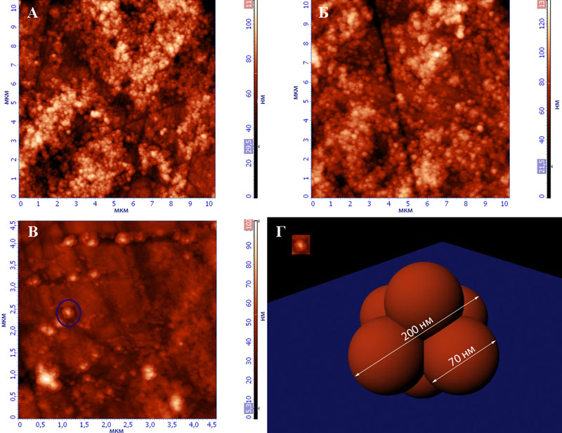 microsystemy_ru_articles_Atomic-force_microscope