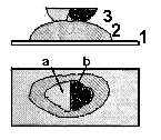 microsystemy_ru_articles_Basic_features_of_minerals_in_reflected_light