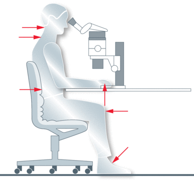 www_microsystemy_ru_articles_Body_in_Balance