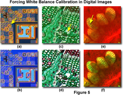 www_microsystemy_ru_articles_Color_Balance_in_Digital_Imaging