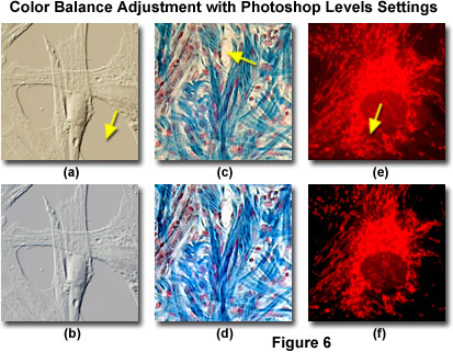 www_microsystemy_ru_articles_Color_Balance_in_Digital_Imaging