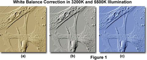 www_microsystemy_ru_articles_Color_Balance_in_Digital_Imaging_Systems