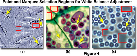 www_microsystemy_ru_articles_Color_Balance_in_Digital_Imaging_Systems