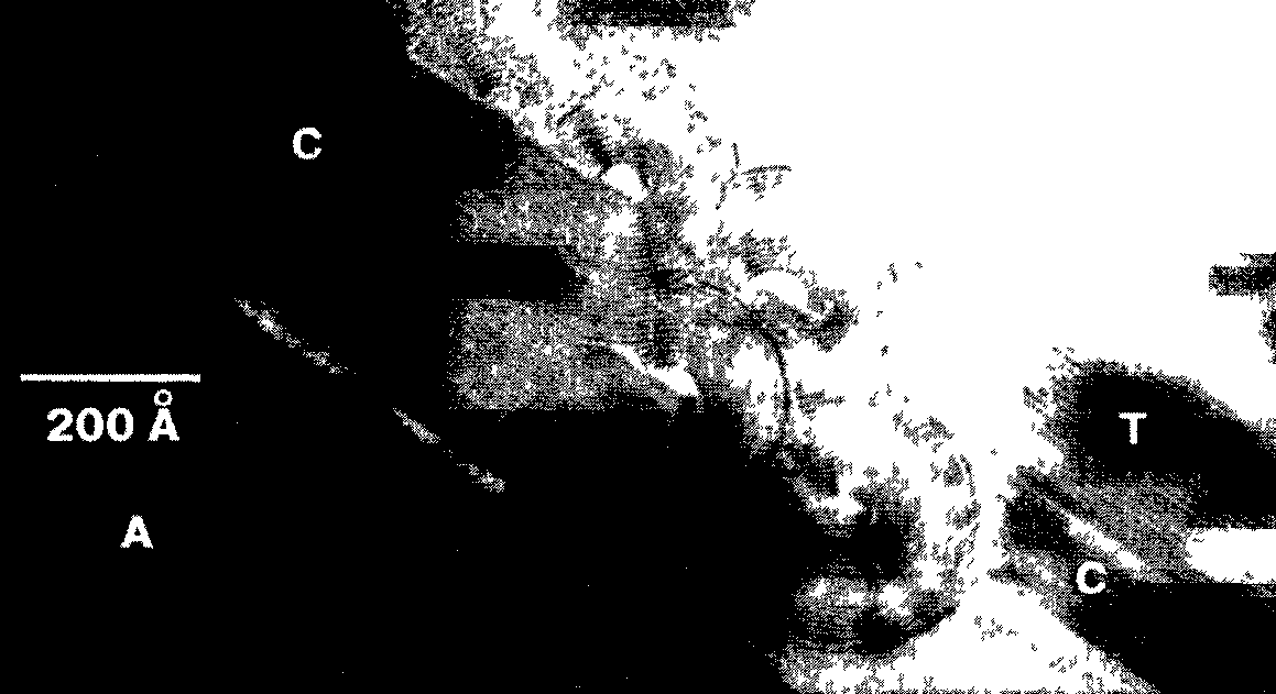 microsystemy_ru_articles_Diffraction_of_xrays_with_crystals