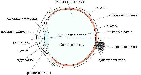 www_microsystemy_ru_articles_Eye_as_an_optical_tool