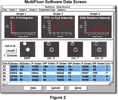 www_microsystemy_ru_articles_Fluorescence_in_situ_Hybridization