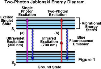 www_microsystemy_ru_articles_Fundamentals_and_Applications_in_Multiphoton_Excitation_Microscopy