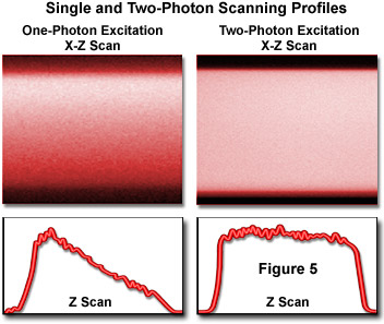 www_microsystemy_ru_articles_Fundamentals_and_Applications_in_Multiphoton_Excitation_Microscopy