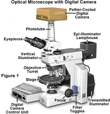 www_microsystemy_ru_articles_Fundamentals_of_Digital_Imaging