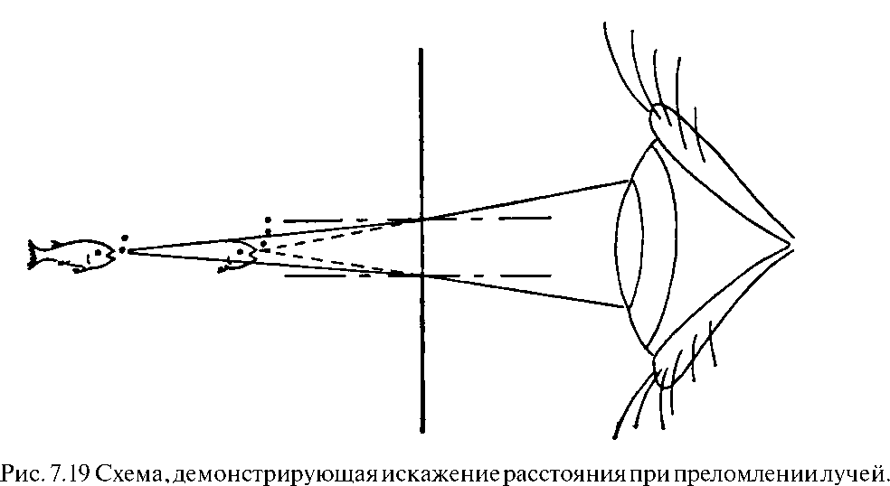 www_microsystemy_ru_articles _anizotropnie_veshestva