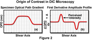 www_microsystemy_ru_articles_de_Senarmont_Bias_Retardation_in_DIC