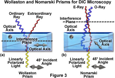 www_microsystemy_ru_articles_de_Senarmont_Bias_Retardation_in_DIC