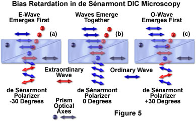 www_microsystemy_ru_articles_de_Senarmont_Bias_Retardation_in_DIC