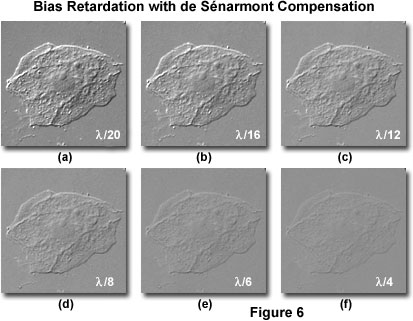 www_microsystemy_ru_articles_de_Senarmont_Bias_Retardation_in_DIC