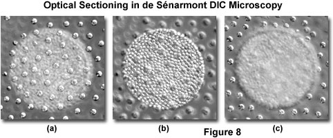 www_microsystemy_ru_articles_de_Senarmont_Bias_Retardation_in_DIC_Microscopy