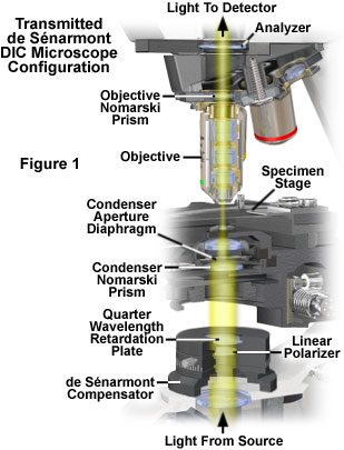 www_microsystemy_ru_articles_de_Senarmont_DIC_Microscope_Configuration