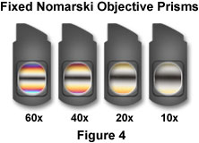 www_microsystemy_ru_articles_de_Senarmont_DIC_Microscope_Configuration