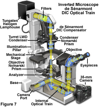 www_microsystemy_ru_articles_de_Senarmont_DIC_Microscope_Configuration