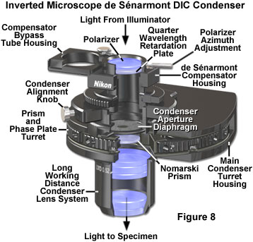 www_microsystemy_ru_articles_de_Senarmont_DIC_Microscope_Configuration