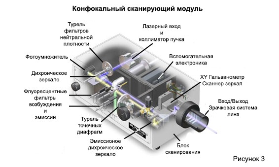 konfokalniy-skaniruyuschiy-modul картинка