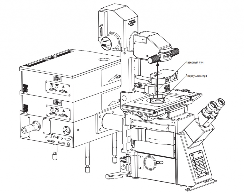 Конфокальный микроскоп Olympus FV3000.jpg