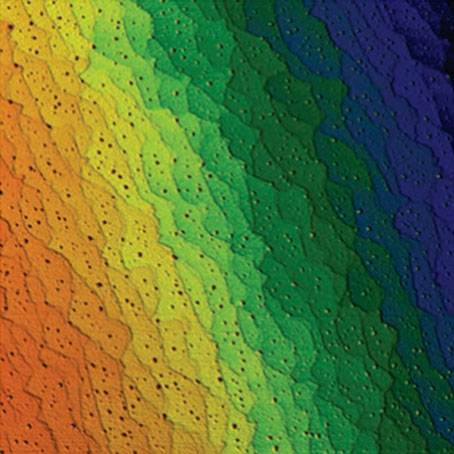 Атомно-силовой микроскоп FM-Nanoview1000 AFM 1000-4.jpg