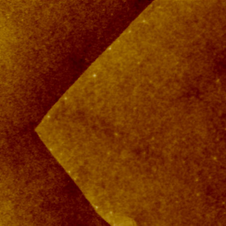Атомно-силовой микроскоп FM-Nanoview1000 AFM 1000-1.jpg