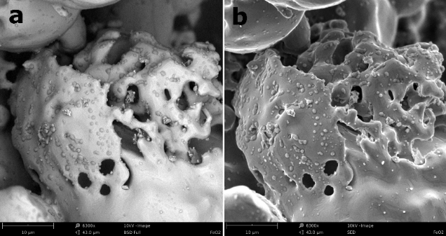 Фото оксида железа под электронным микроскопом.png
