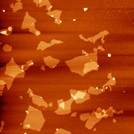 Атомно-силовой микроскоп FM-Nanoview1000 AFM 1000-2.jpg