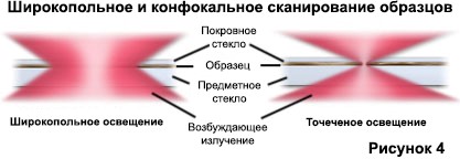 shirokopolnoe-i-konfokalnoe-skanirovanie схема