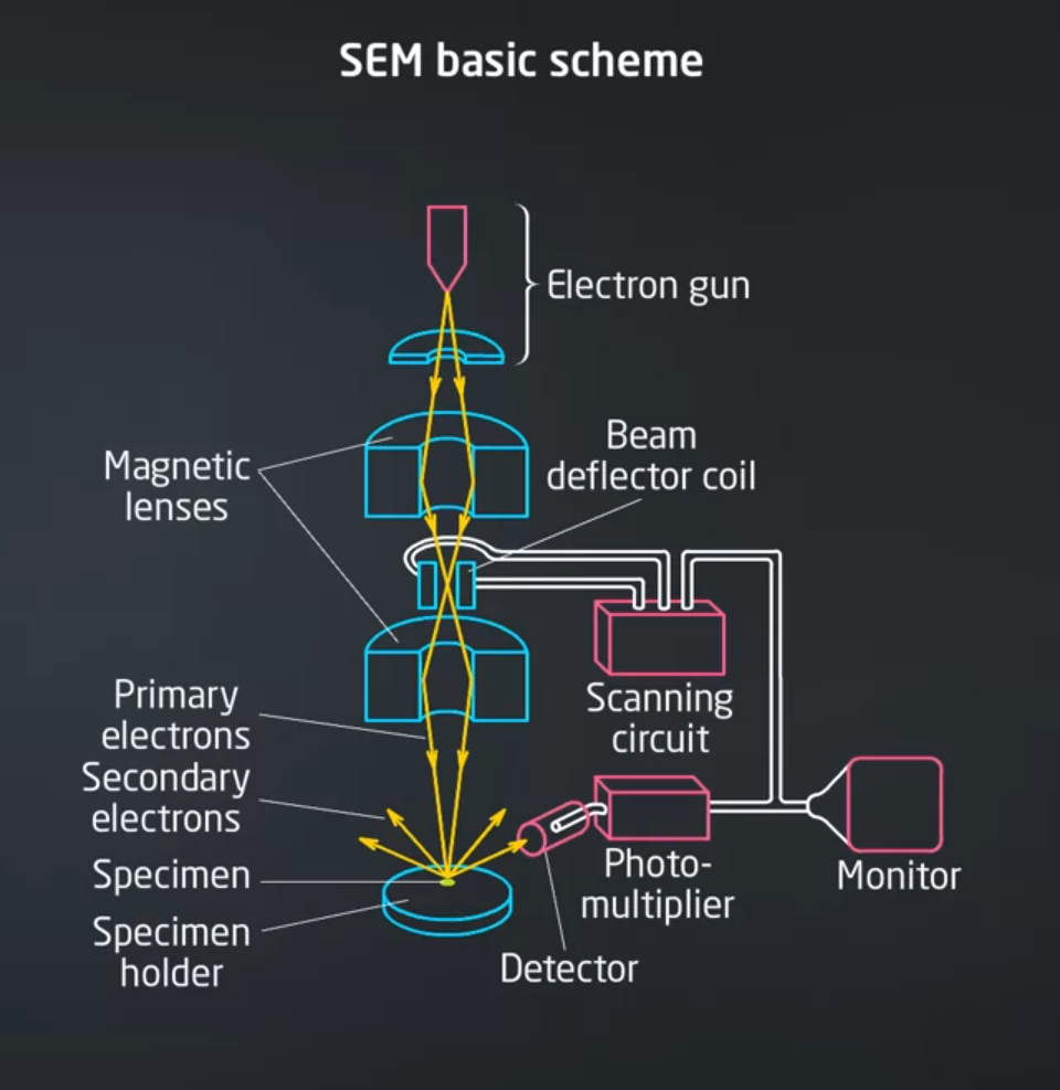 общая схема строения SEM.png