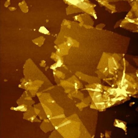 Атомно-силовой микроскоп FM-Nanoview1000 AFM 1000-3.jpg