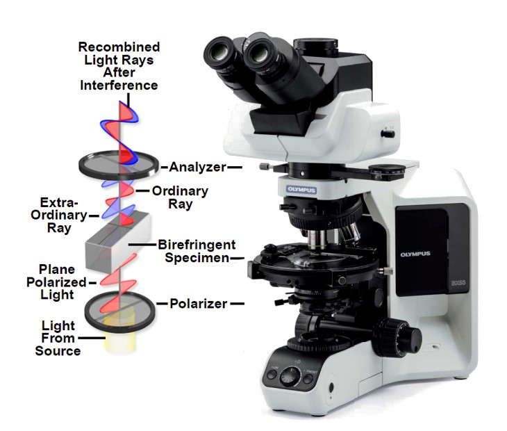 polyar-mikroskopy.jpg