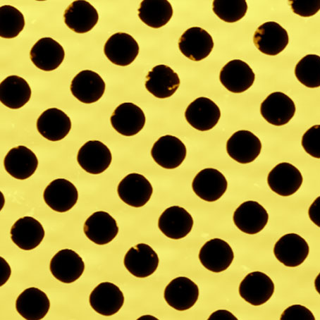 Атомно-силовой микроскоп FM-Nanoview1000 AFM atomno-silovoy-mikroskop-fm-nanoview-op-afm-4.jpg