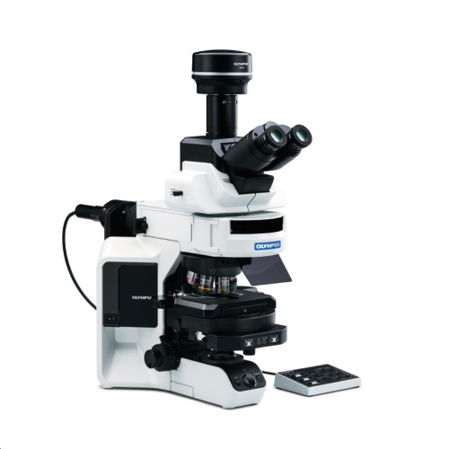 Полумоторизованный микроскоп Olympus BX53