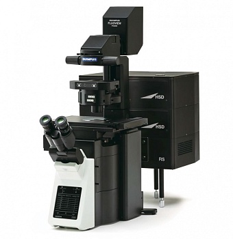 Конфокальный лазерный сканирующий микроскоп Olympus FV3000 Fluoview