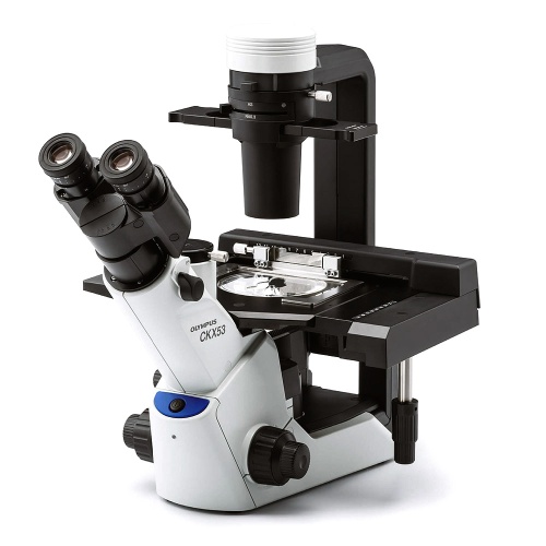 Микроскоп Olympus CKX53