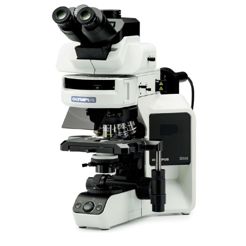 Флуоресцентный микроскоп Olympus BX43