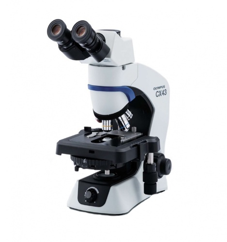Купить или заказать Купить лабораторный микроскоп Olympus CX43 на складе в Москве в компании Микросистемы, тел.: +7 (495) 234-23-32