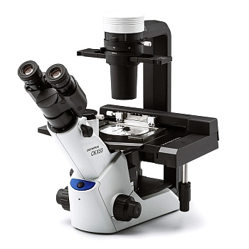 Микроскоп Olympus CKX53 | Каталог — Микросистемы